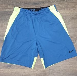 Nike Dri-Fit shorts.  Aqua and lime.  Size L